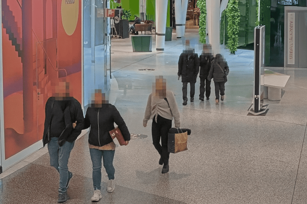 face blurring software for anonimization 1